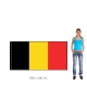 Belgie vlajka