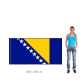 Bosna a Hercegovina vlajka