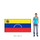 Venezuela vlajka
