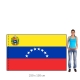 Venezuela vlajka