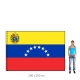 Venezuela vlajka