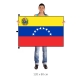 Venezuela vlajka