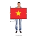 Vietnam vlajka